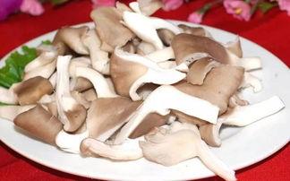 17c吃瓜黑料蘑菇一起草,蘑菇与草的神秘邂逅